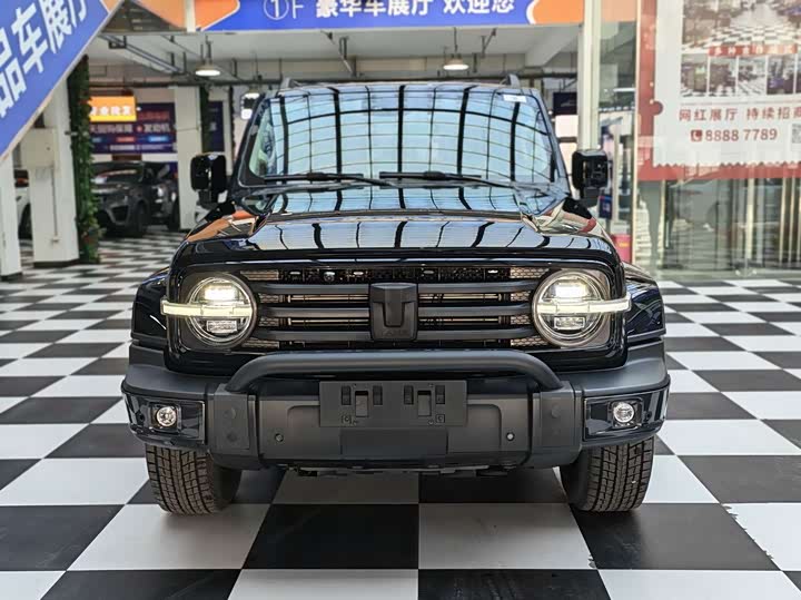 Фото 2 - Tank 300