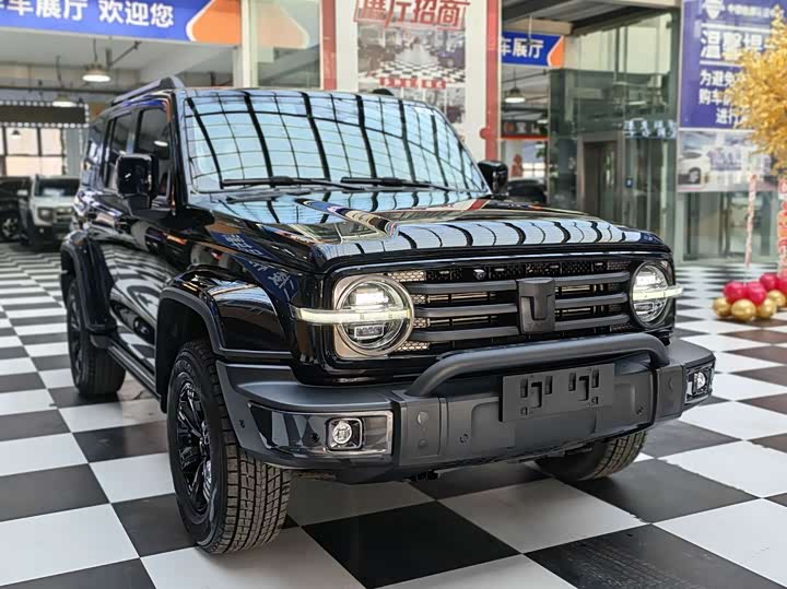 Фото 3 - Tank 300