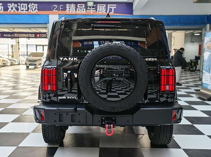 Фото 5 - Tank 300