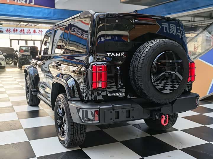 Фото 6 - Tank 300