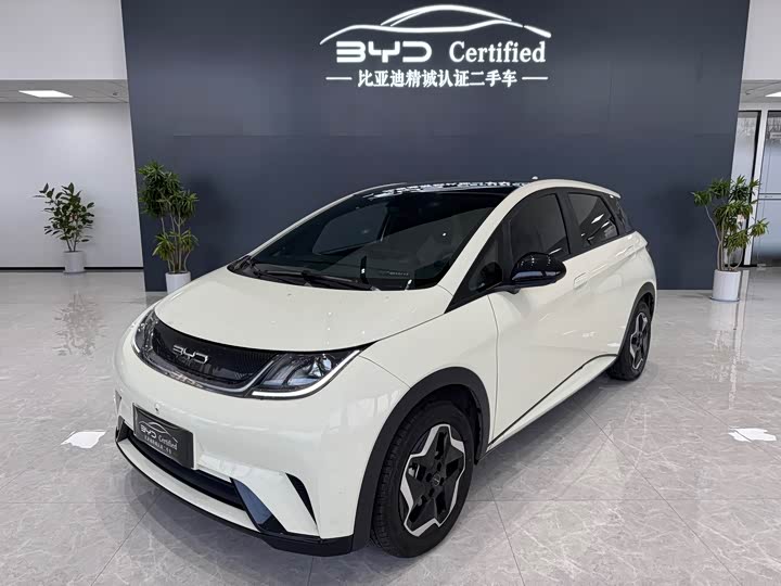 Фото 1 - BYD Dolphin