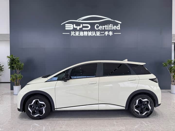 Фото 3 - BYD Dolphin