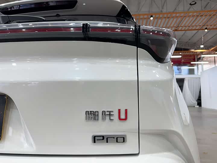 Фото 6 - Hozon U