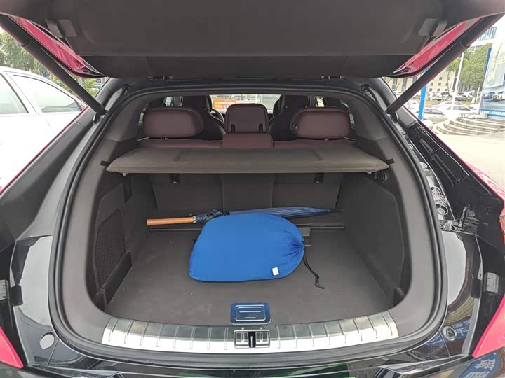 Фото 9 - Denza Z9GT