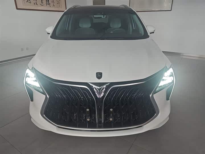 Фото 3 - Dongfeng Forthing Yacht