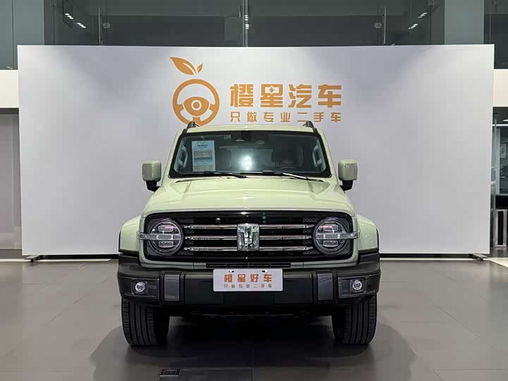 Фото 2 - Tank 300