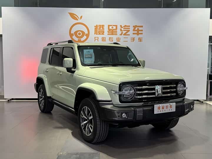 Фото 3 - Tank 300