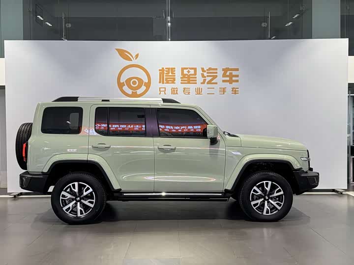 Фото 4 - Tank 300