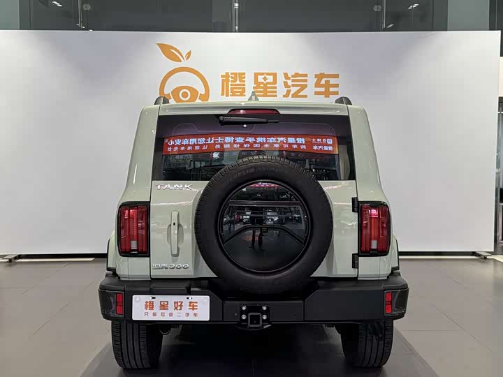 Фото 6 - Tank 300