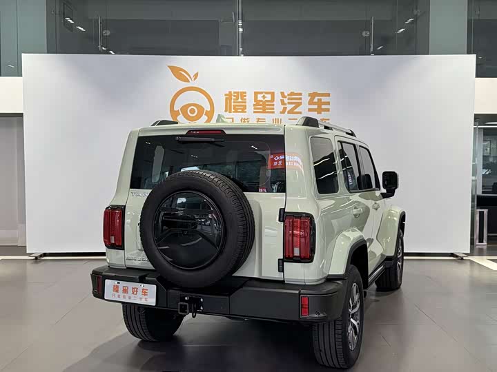 Фото 7 - Tank 300