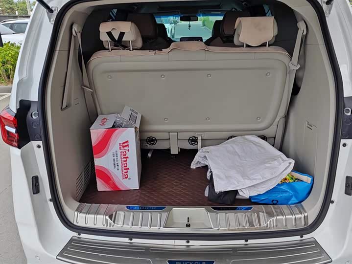 Фото 4 - Buick GL8 ES