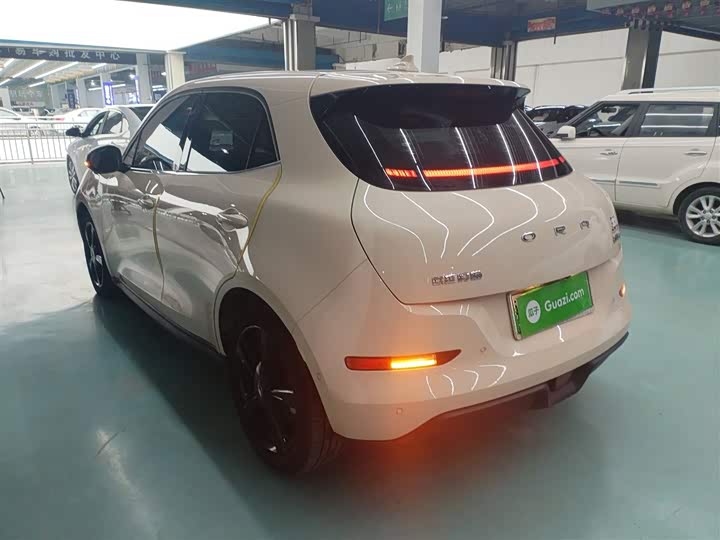 Фото 5 - Ora Good Cat (03)