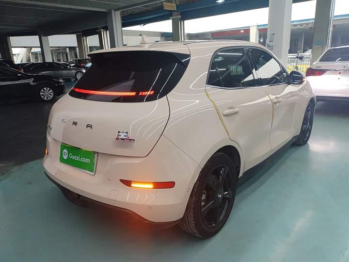 Фото 7 - Ora Good Cat (03)