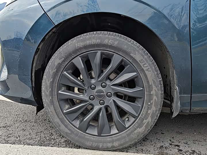 Фото 4 - Dongfeng Forthing T5 EVO