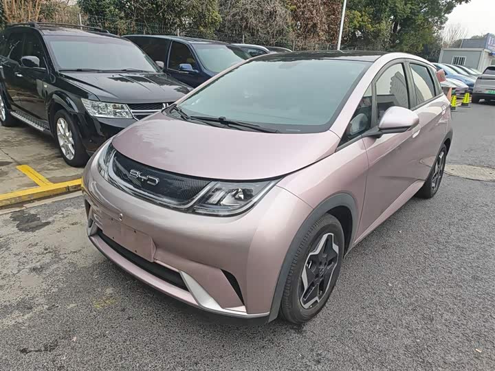 Фото 2 - BYD Dolphin