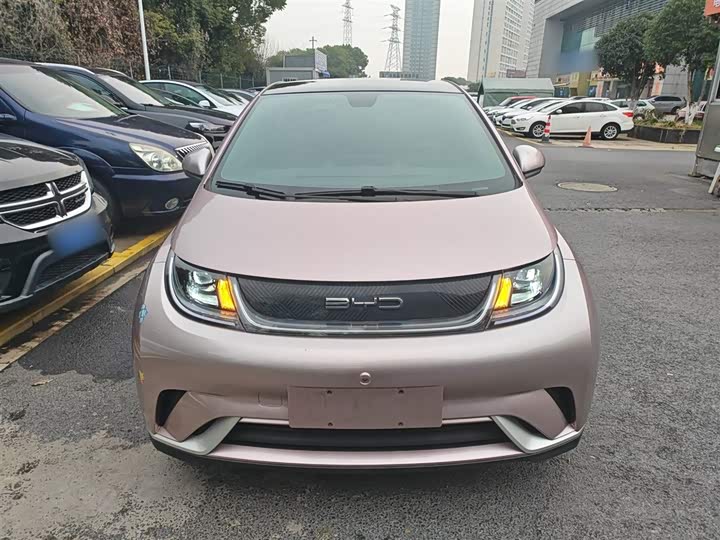 Фото 3 - BYD Dolphin