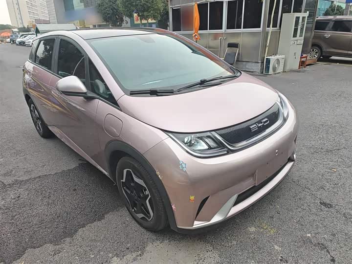 Фото 4 - BYD Dolphin