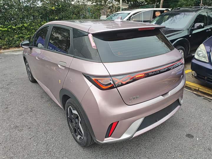 Фото 5 - BYD Dolphin