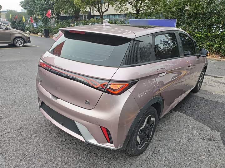 Фото 7 - BYD Dolphin