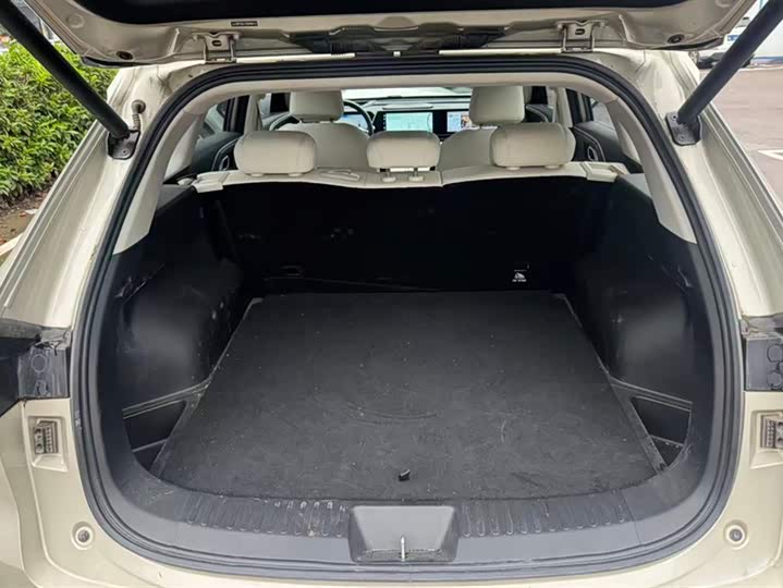 Фото 4 - Haval Ruge Max