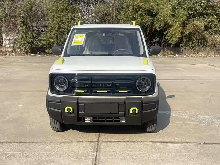 Фото 2 - Geely Galaxy Panda Mini