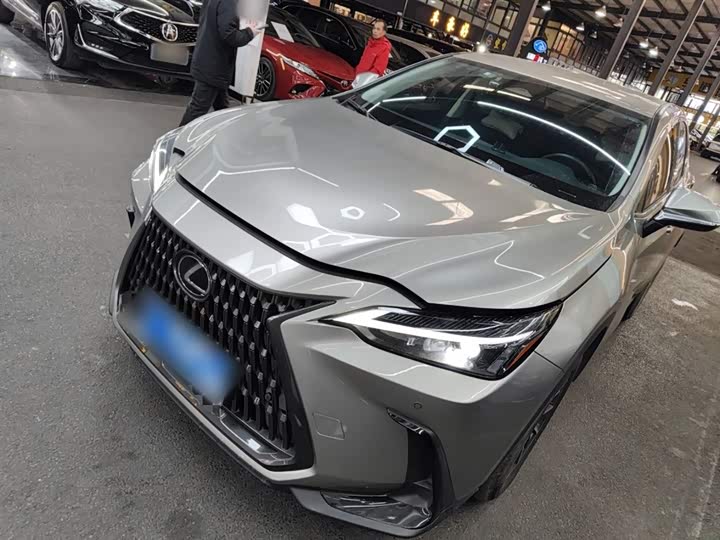 Фото 1 - Lexus NX