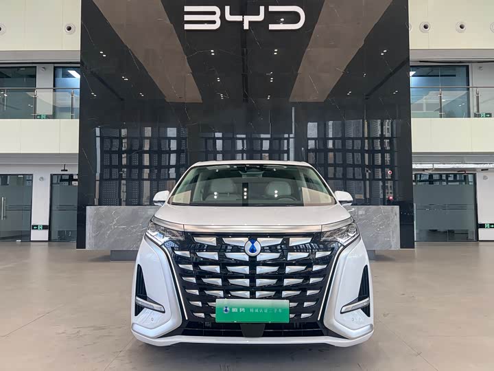 Фото 2 - Denza D9