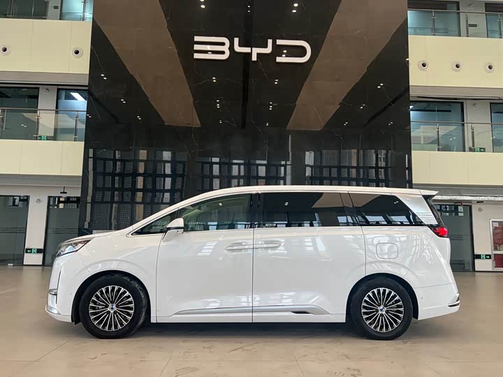 Фото 3 - Denza D9