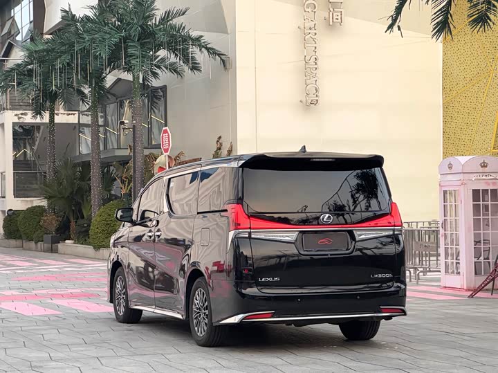 Фото 6 - Lexus LM