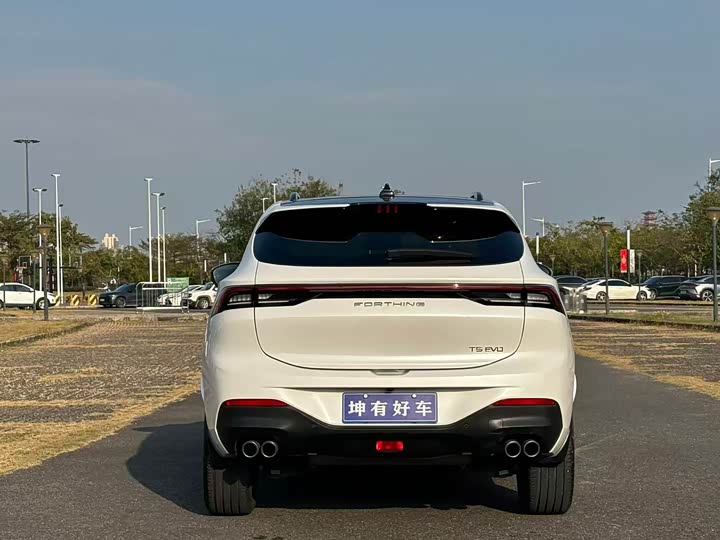 Фото 5 - Dongfeng Forthing T5 EVO