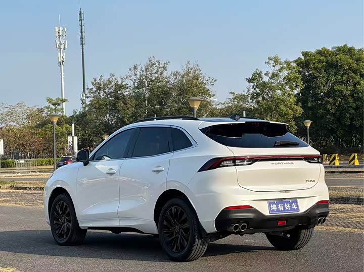 Фото 6 - Dongfeng Forthing T5 EVO