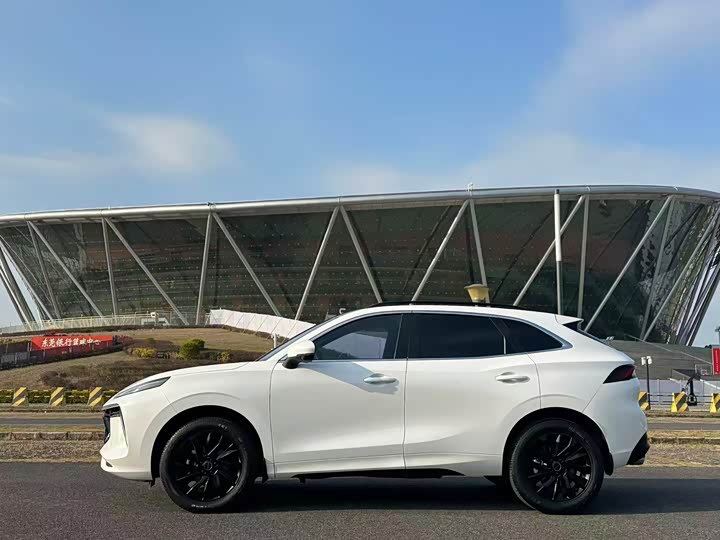 Фото 7 - Dongfeng Forthing T5 EVO