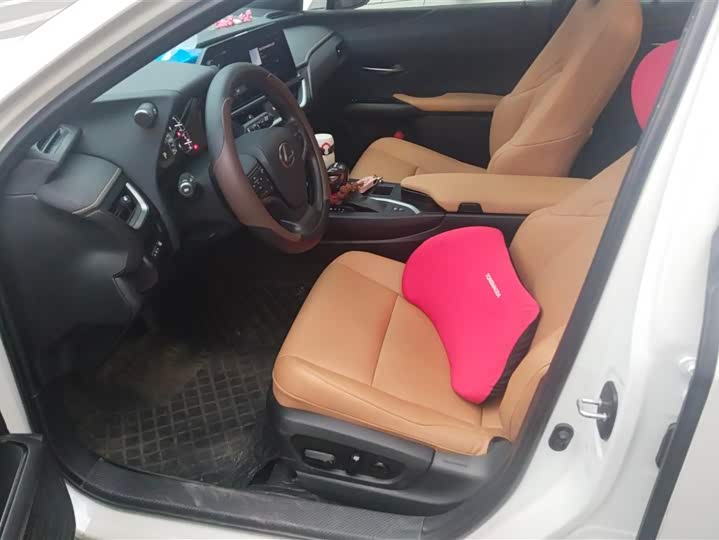 Фото 9 - Lexus UX