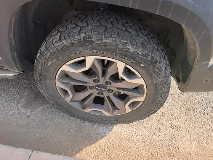 Фото 6 - Haval Dargo