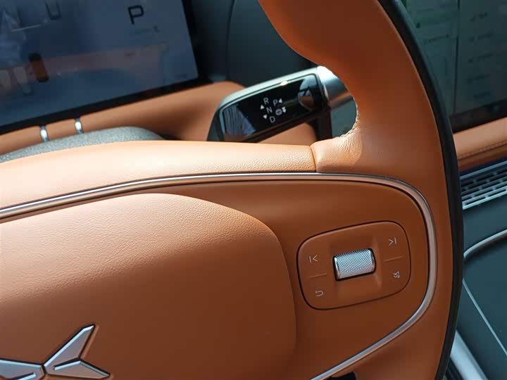 Фото 6 - XPeng G9