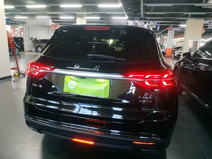 Фото 6 - Hongqi HS5