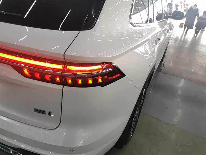 Фото 8 - Geely Monjaro