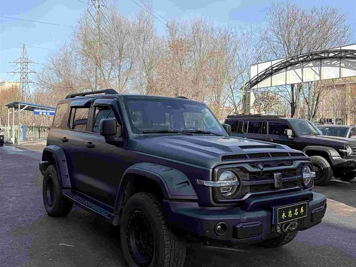 Фото 2 - Tank 300