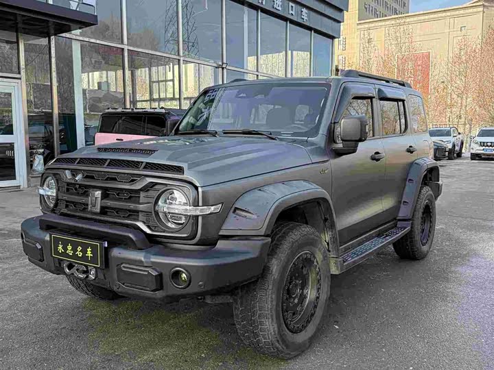 Фото 3 - Tank 300