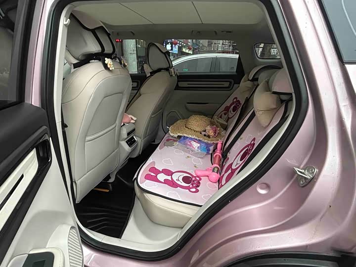 Фото 4 - Geely Icon