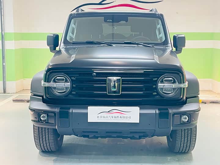 Фото 2 - Tank 300 Hybrid