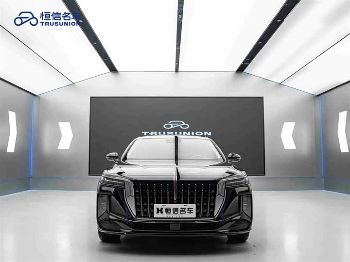 Фото 3 - Hongqi H9
