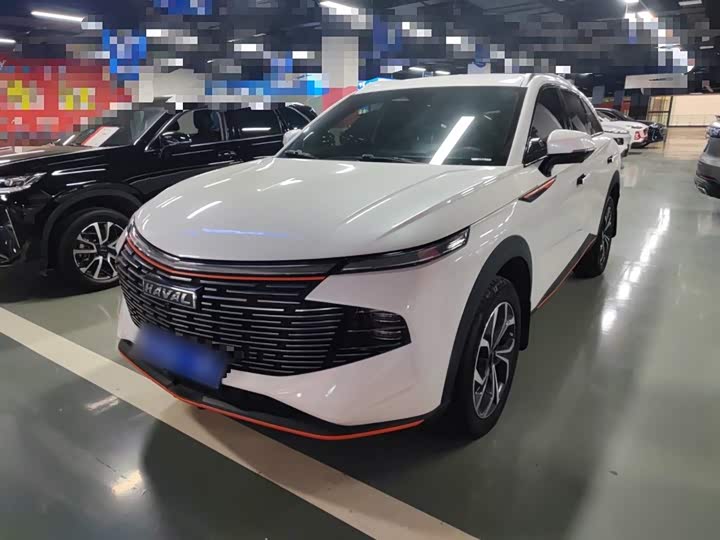 Фото 2 - Haval F7 (Monster)