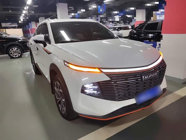 Фото 4 - Haval F7 (Monster)