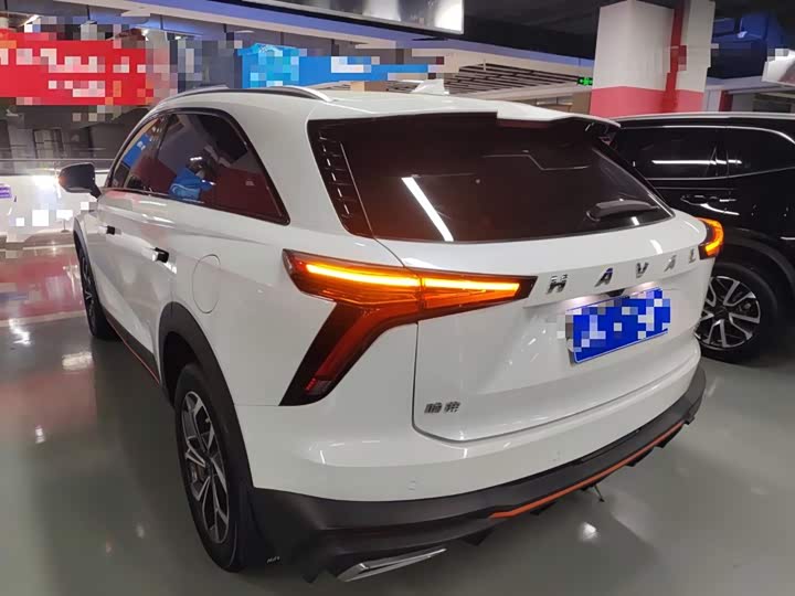 Фото 5 - Haval F7 (Monster)