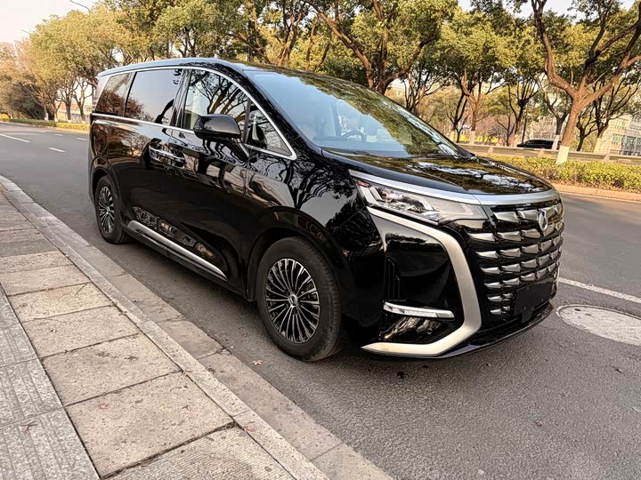 Фото 3 - Denza D9