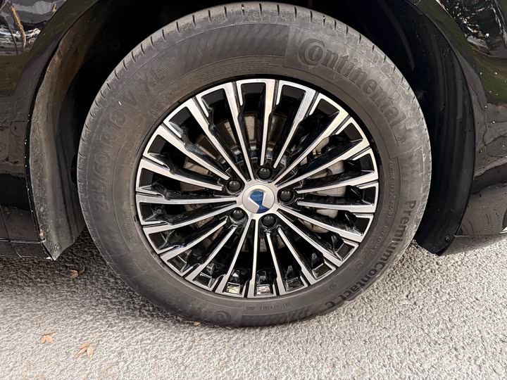 Фото 4 - Denza D9