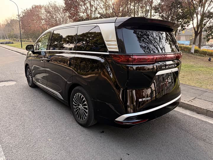 Фото 5 - Denza D9