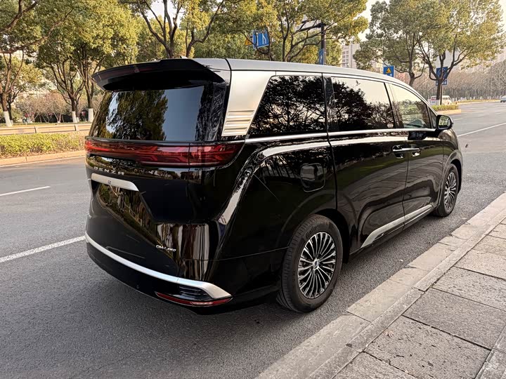 Фото 6 - Denza D9