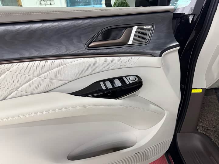 Фото 8 - Denza D9